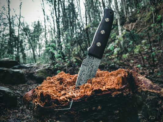 What should you pay attention to when choosing a hunting knife?